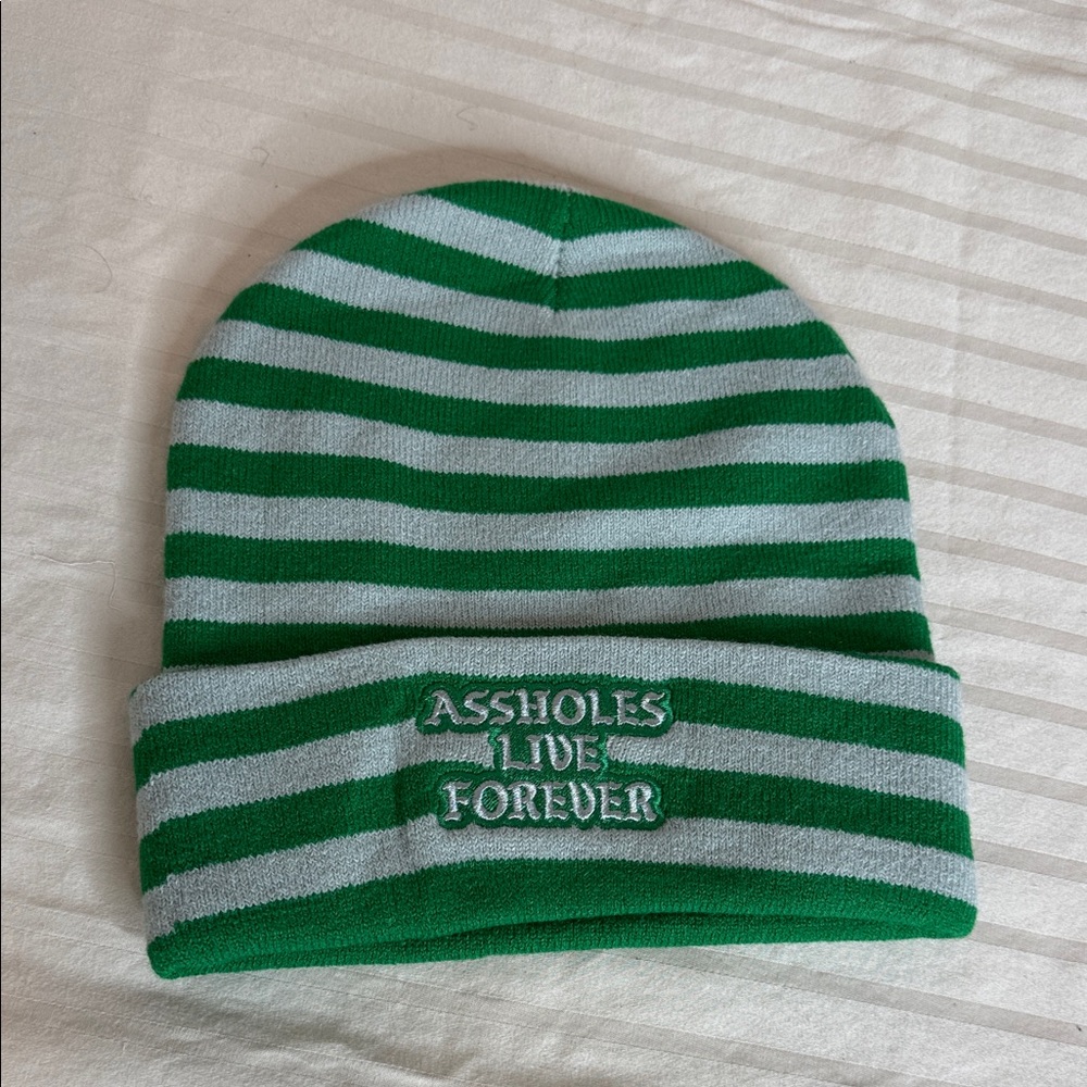 Assholes Live Forever Striped Green and Grey Beanie
